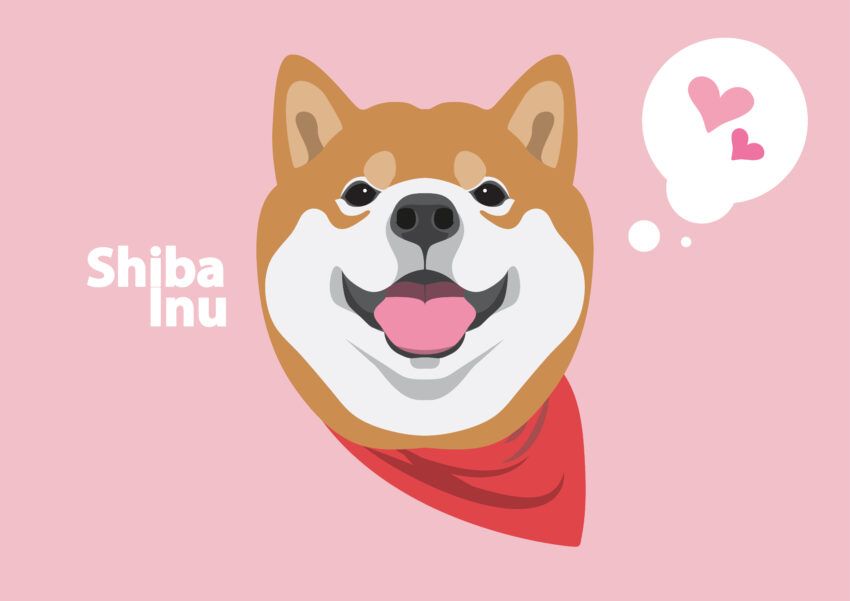 Perdeu a ascensão da Shiba Inu? Esta criptomoeda tem como objetivo replicar o sucesso da SHIB