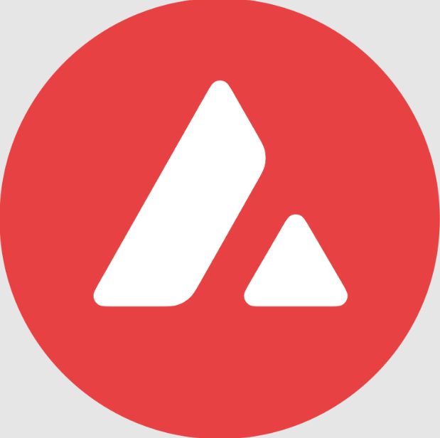 <a href="https://www.avax.network/">avax.network</a> 
