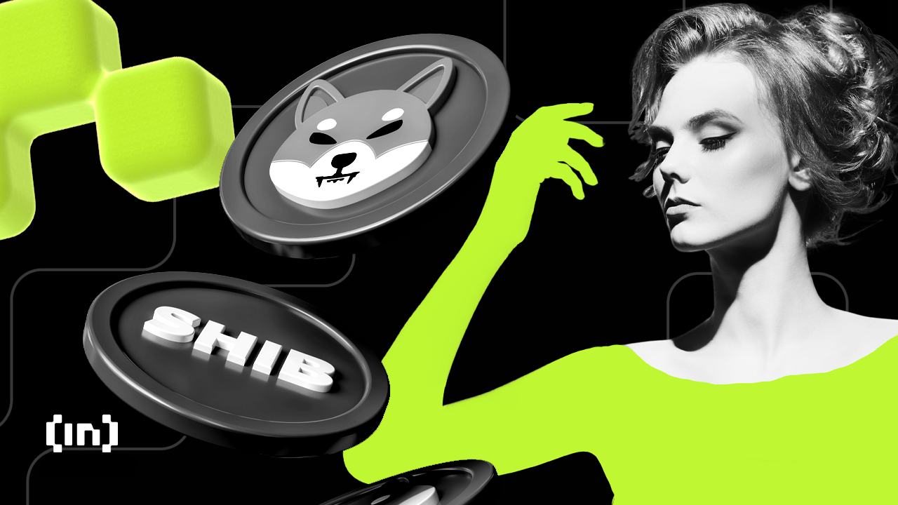 Shiba Inu: TVL da Shibarium atinge US$ 1 milhão e tokens SHIB ficam escassos