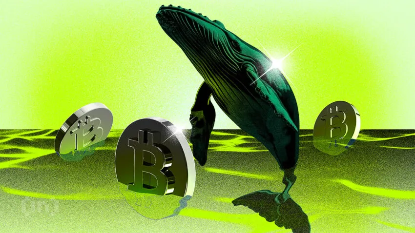 Baleia movimenta US$ 276 milhões em Bitcoin e levanta suspeitas