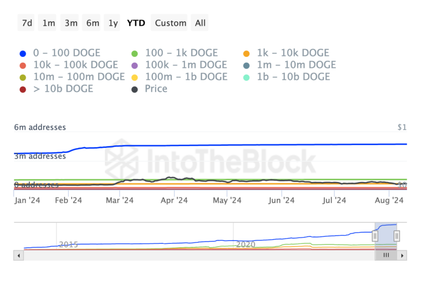 Baleias Dogecoin. Fonte: IntoTheBlock