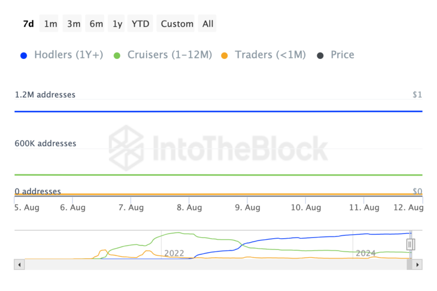 Endereços Shiba Inu. Fonte: IntoTheBlock