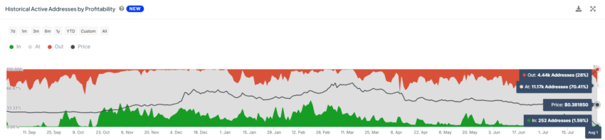 Endereços da Cardano por lucratividade. Fonte: IntoTheBlock