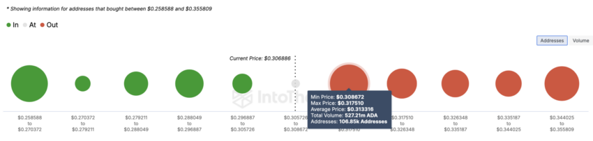 IOMAP da Cardano. Fonte: IntoTheBlock