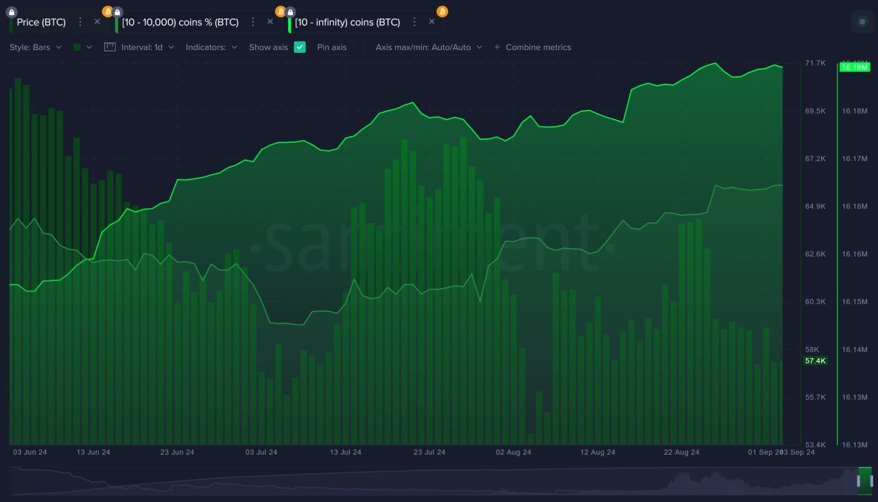 Atividade das Baleias do Bitcoin.