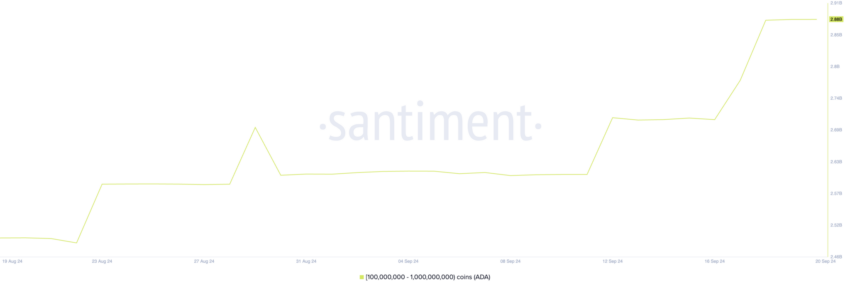 Distribuição da Cardano (ADA). Fonte: Santiment