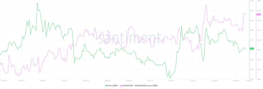 Acumulação das baleias XRP. Fonte: Santiment