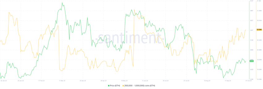 Acumulação de baleias de Ethereum (ETH). Fonte: Santiment