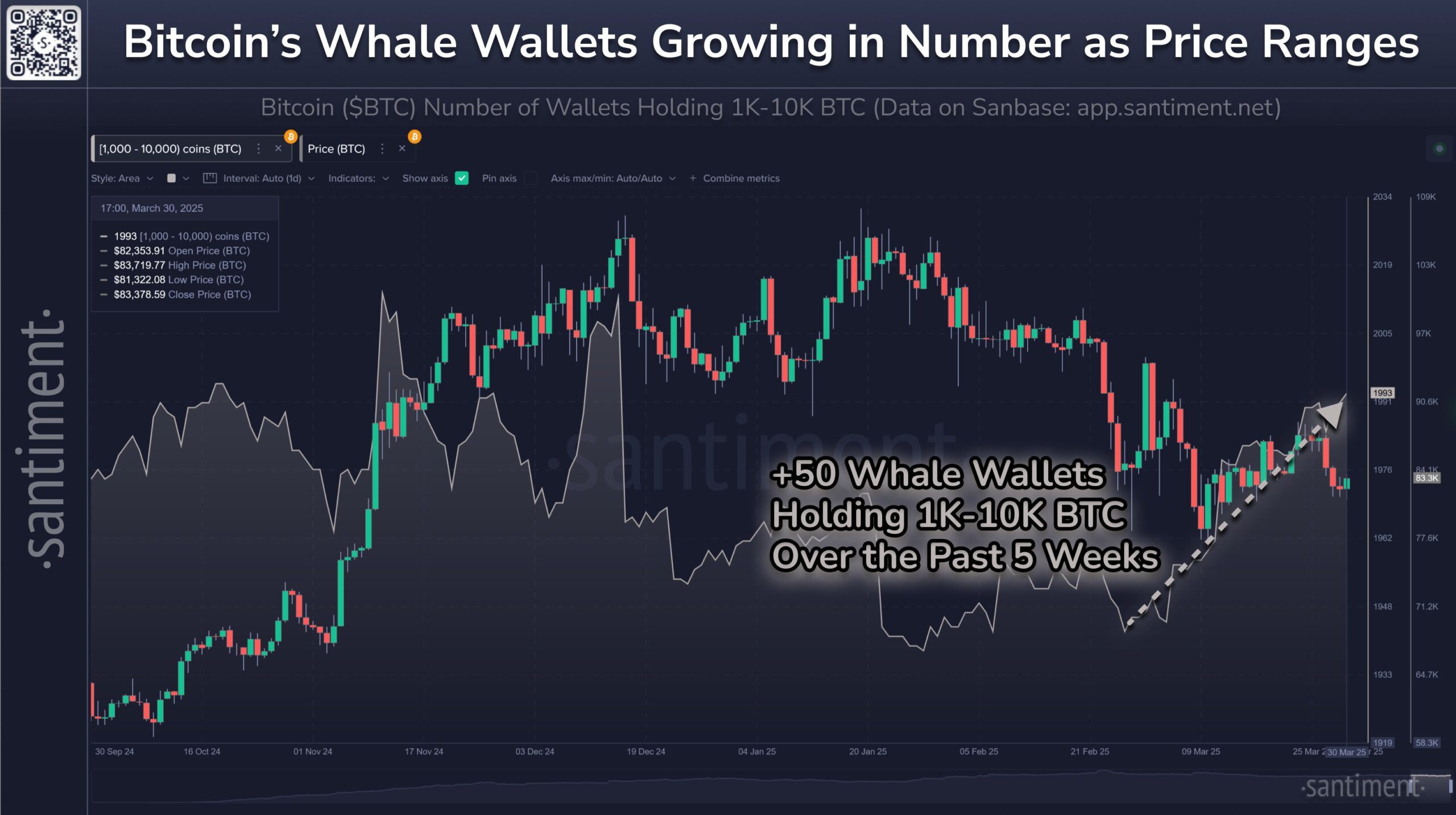 Carteiras de baleias de Bitcoin continuam crescendo em número. Fonte: Santiment
