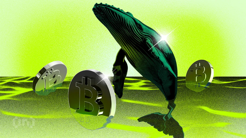 “Novas baleias” assumem controle da maior parte do capital na rede