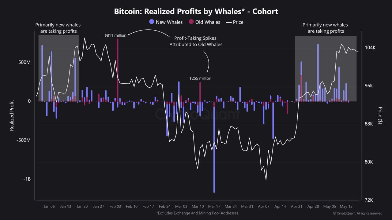 dados de investidores de bitcoin