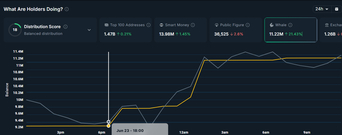 Atividade de grandes investidores em AERO.
