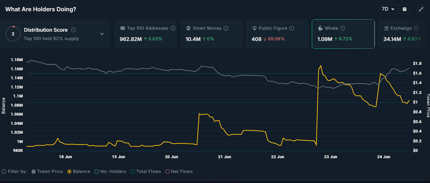 Atividade de grandes investidores em VIRTUAL