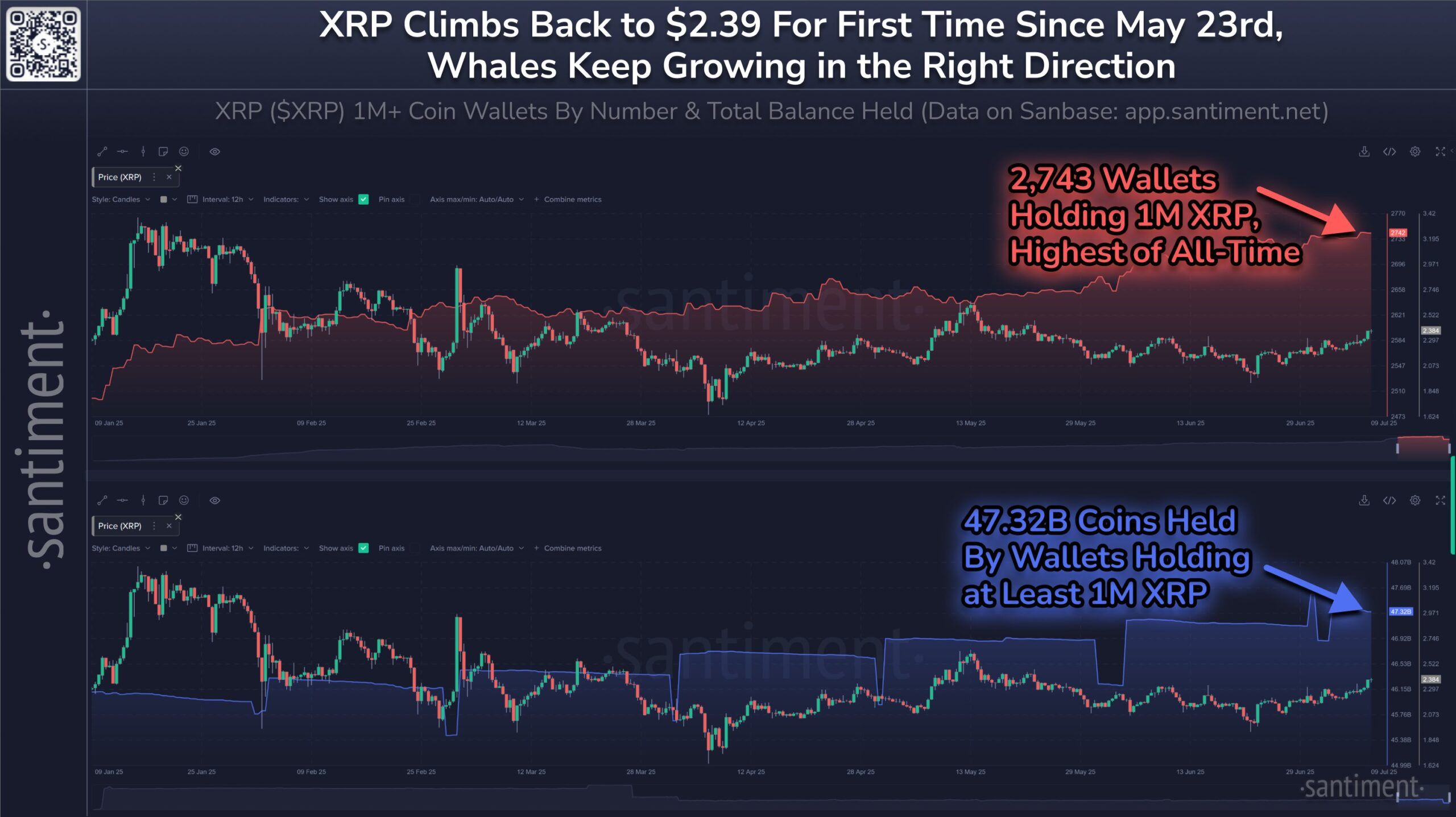 Endereços de Grandes Investidores de XRP
