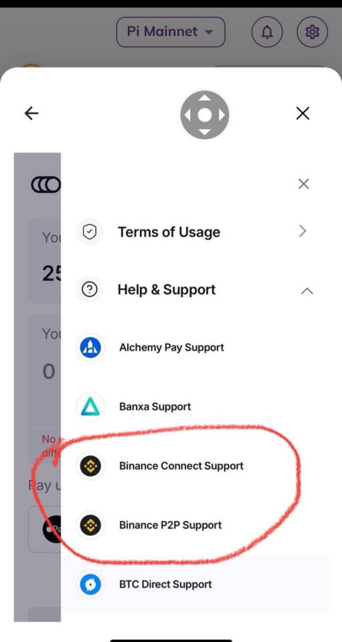 Opções de Suporte da Binance na Pi Wallet.