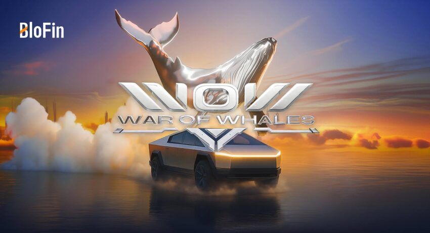 BloFin WOW 2025: competição de trading bate recorde com mais de 370 mil participantes e volume de US$ 12,7 bilhões