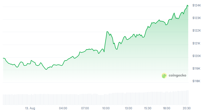 Desempenho do preço do Bitcoin - 24 horas. Fonte: CoinGecko
Bitcoin 124000